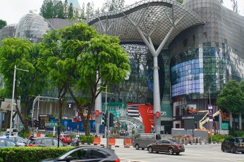 ION-Orchard